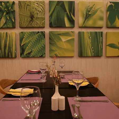 فندق ألتيوس البوتيكي